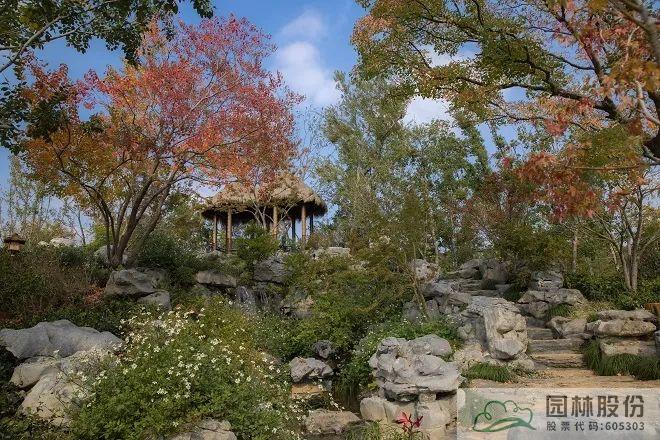 亚洲精品白浆高清久久久久久