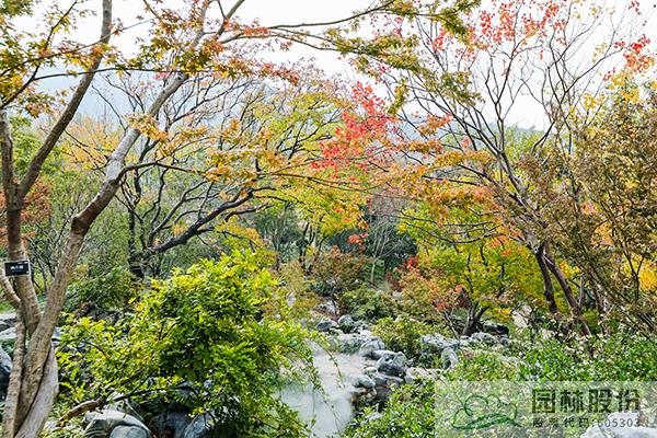 亚洲精品白浆高清久久久久久