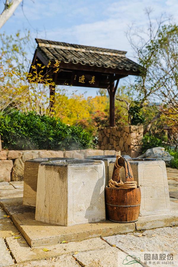 亚洲精品白浆高清久久久久久