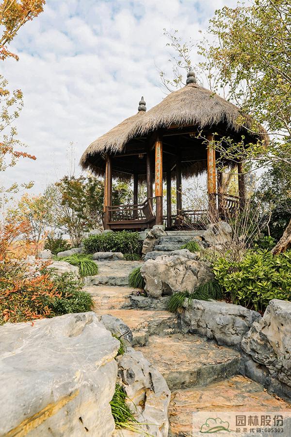 亚洲精品白浆高清久久久久久