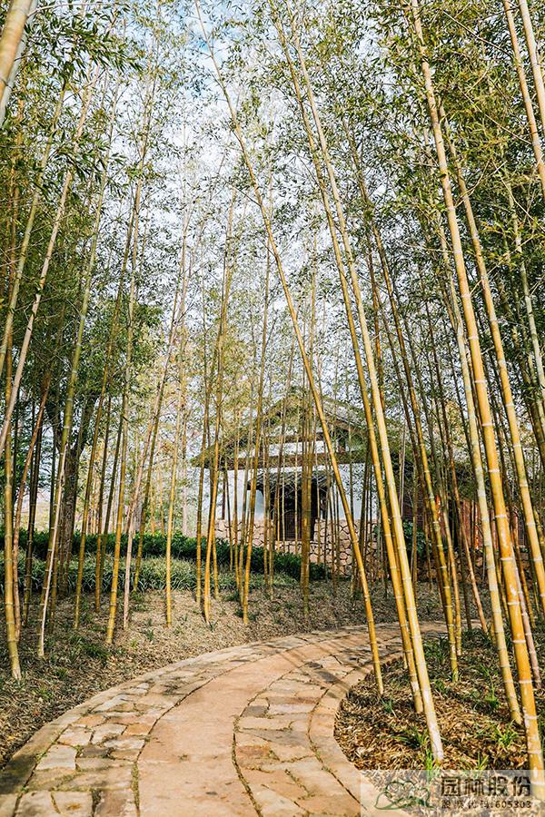 亚洲精品白浆高清久久久久久