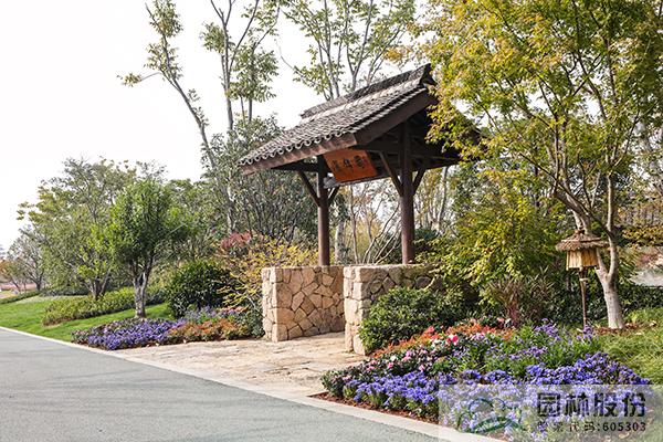 亚洲精品白浆高清久久久久久