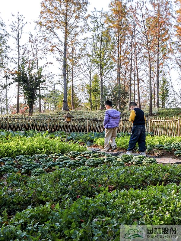 亚洲精品白浆高清久久久久久