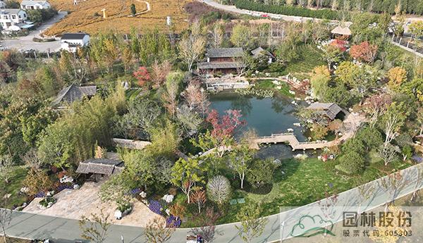 亚洲精品白浆高清久久久久久