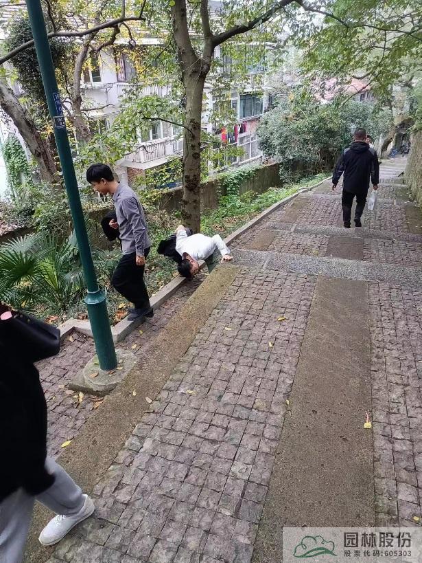 亚洲精品白浆高清久久久久久