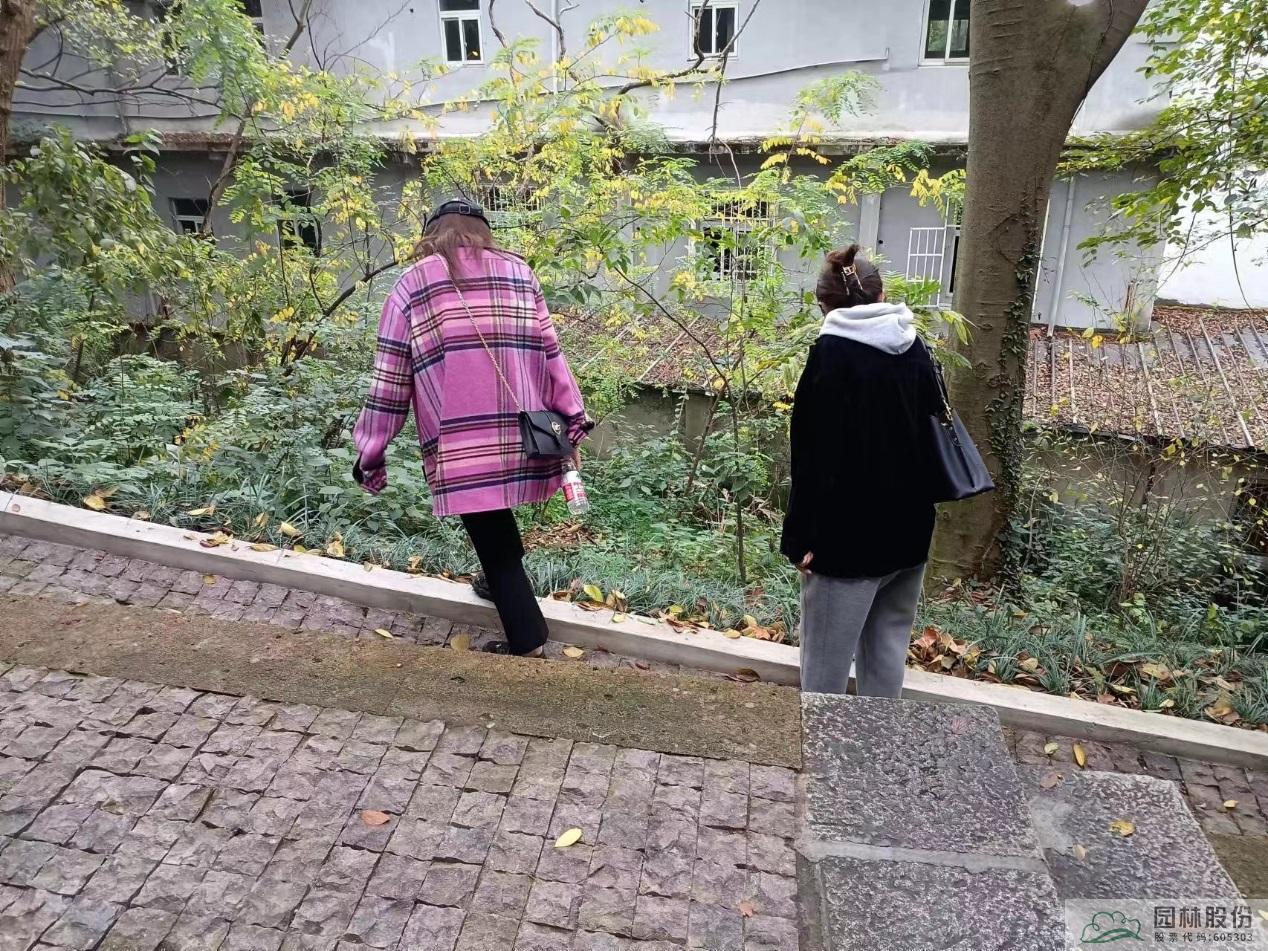 亚洲精品白浆高清久久久久久