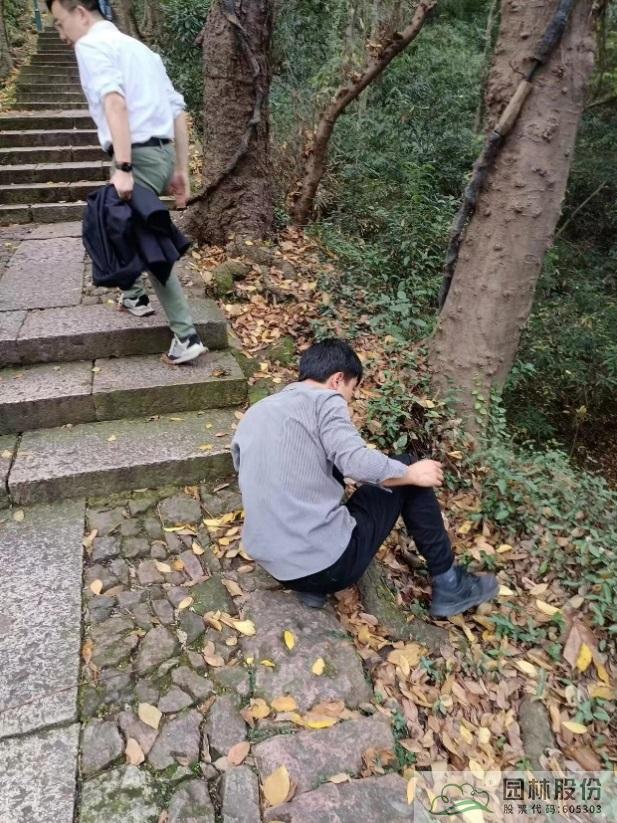 亚洲精品白浆高清久久久久久