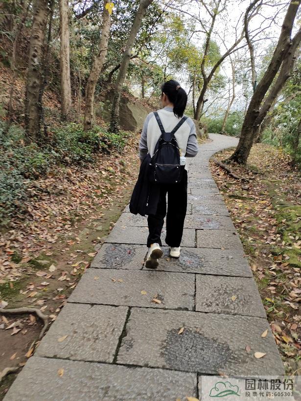 亚洲精品白浆高清久久久久久