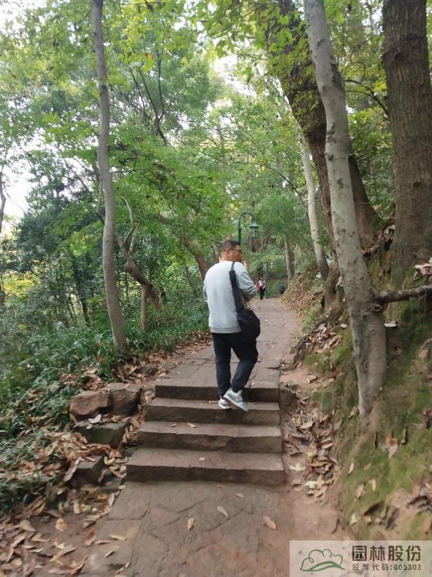 亚洲精品白浆高清久久久久久