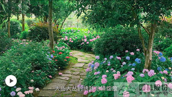 亚洲精品白浆高清久久久久久