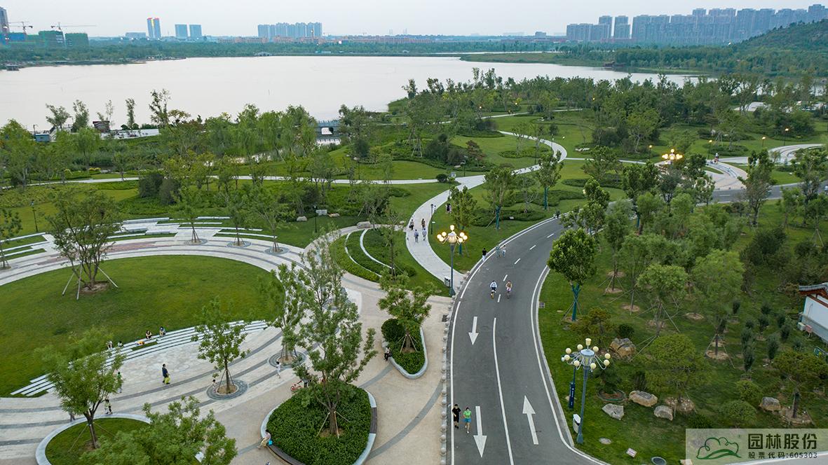 亚洲精品白浆高清久久久久久