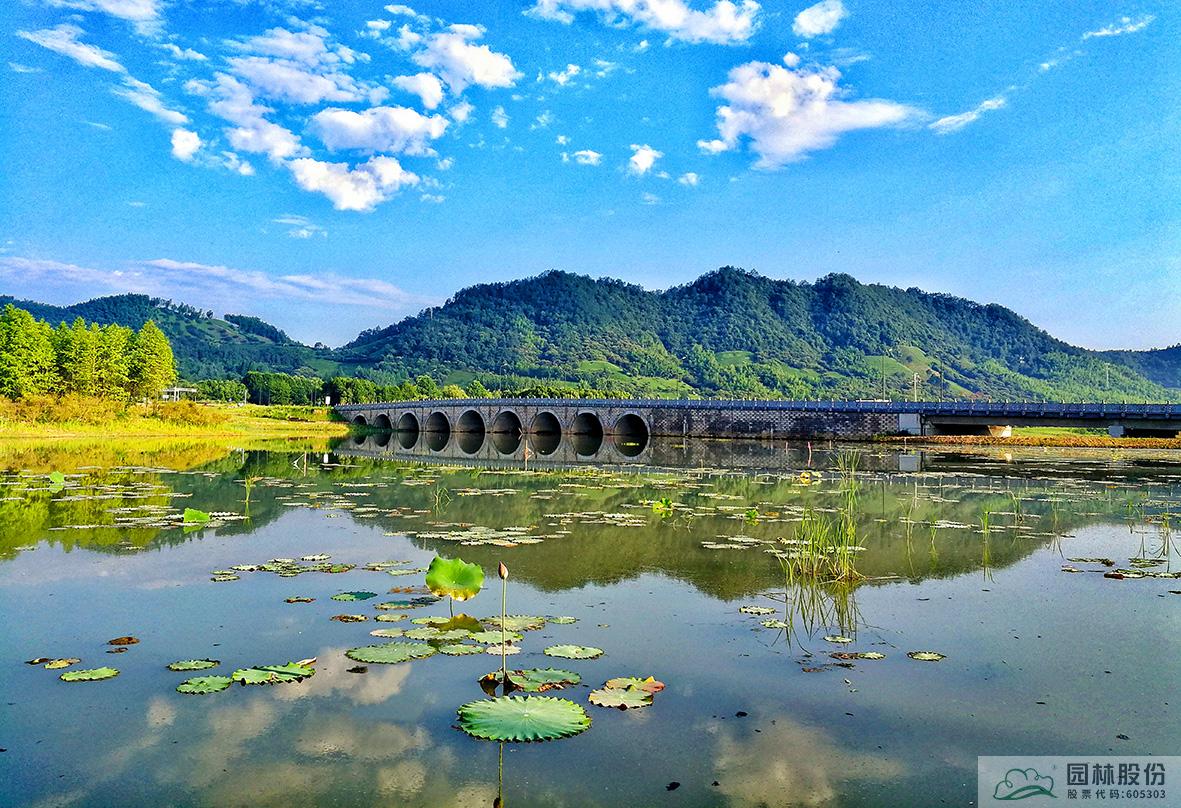 亚洲精品白浆高清久久久久久