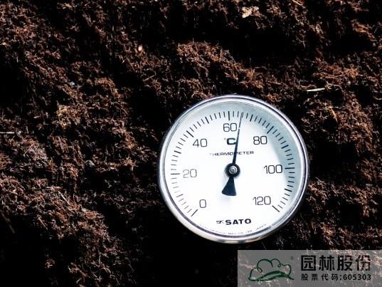 亚洲精品白浆高清久久久久久