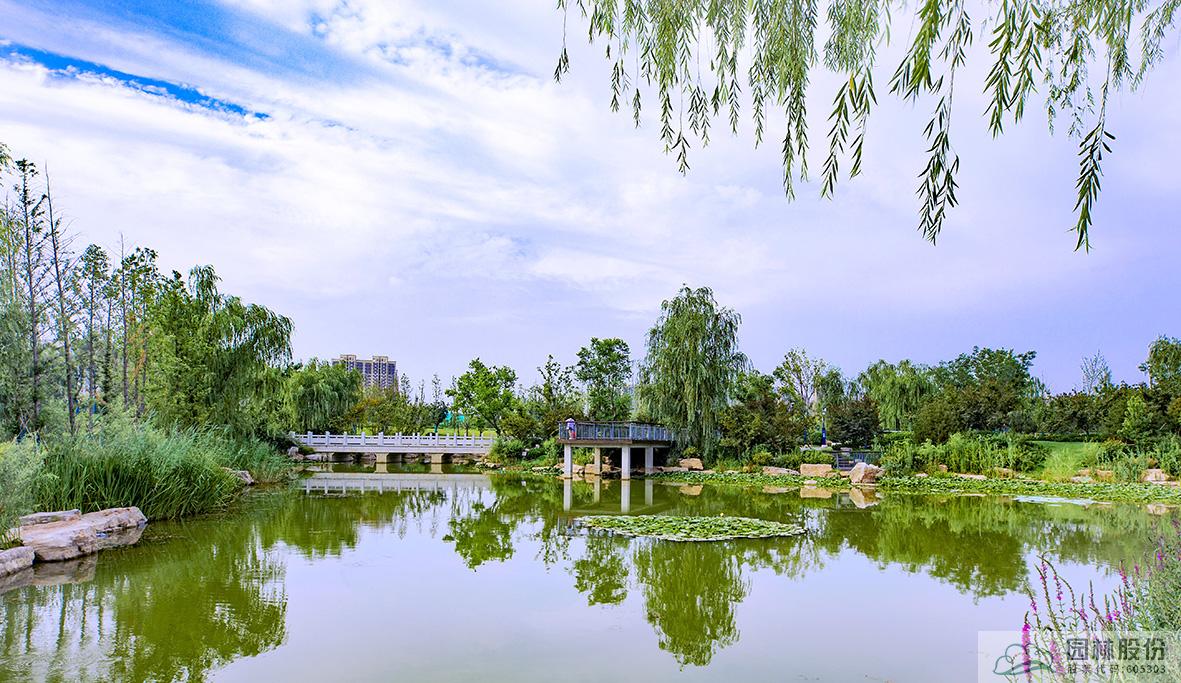 亚洲精品白浆高清久久久久久