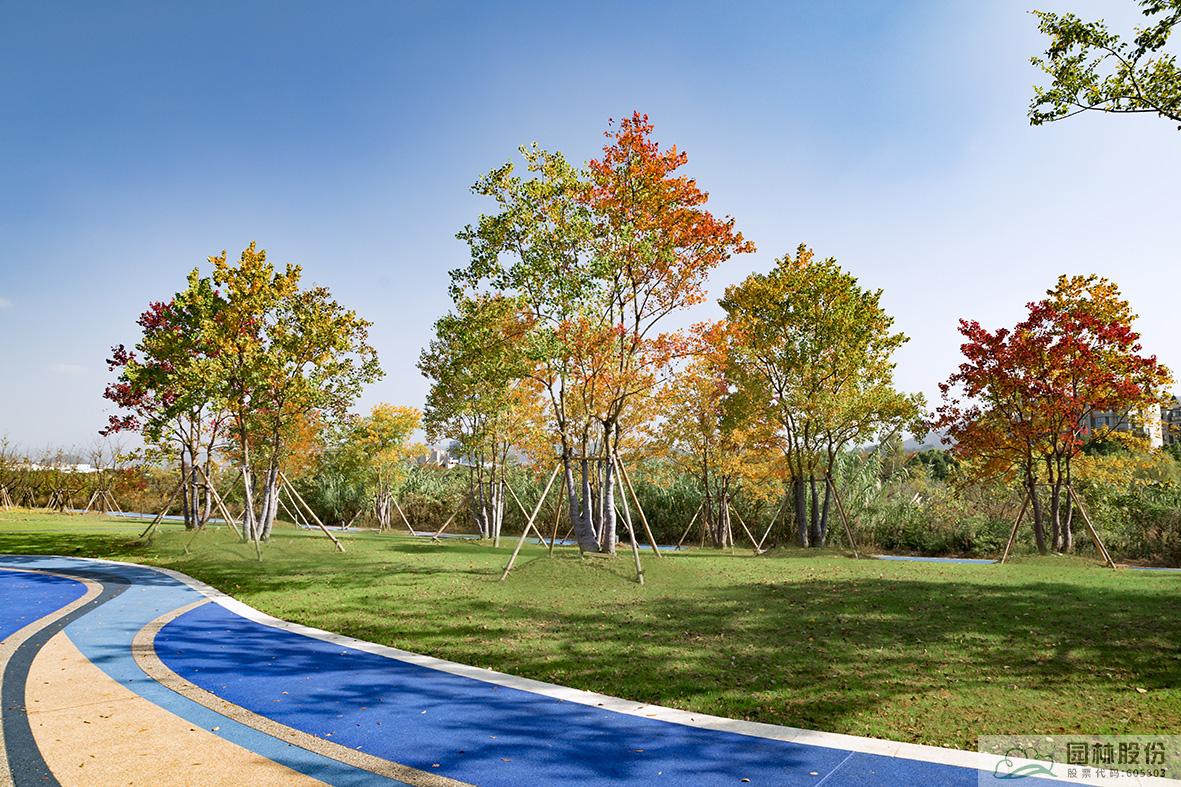 亚洲精品白浆高清久久久久久