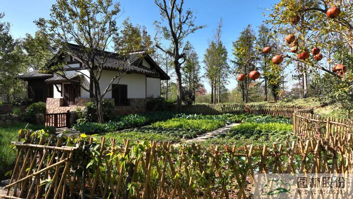 亚洲精品白浆高清久久久久久