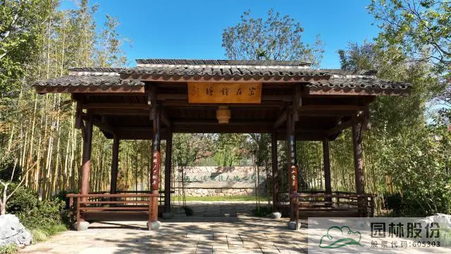 亚洲精品白浆高清久久久久久