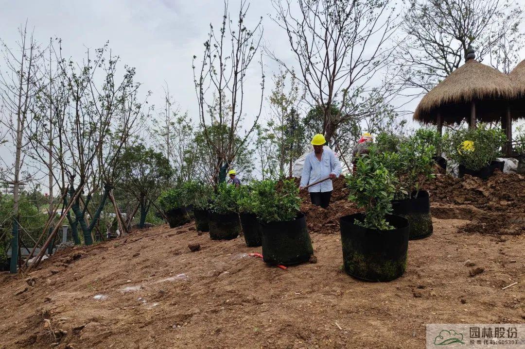 亚洲精品白浆高清久久久久久