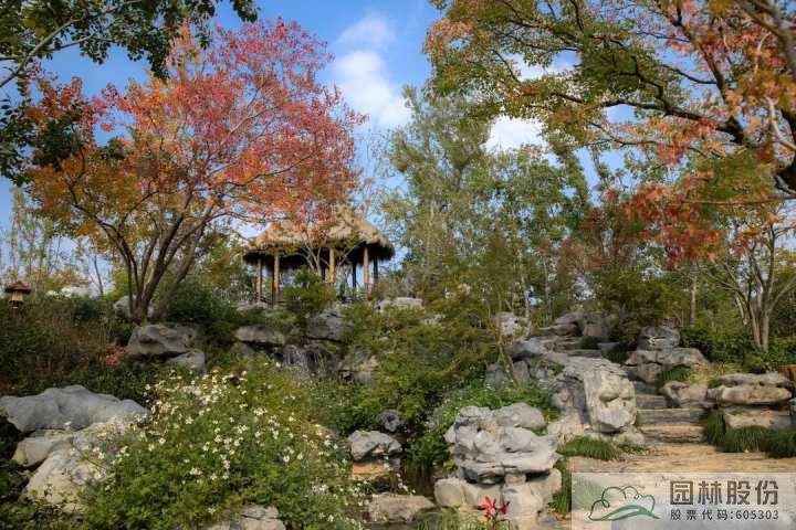 亚洲精品白浆高清久久久久久