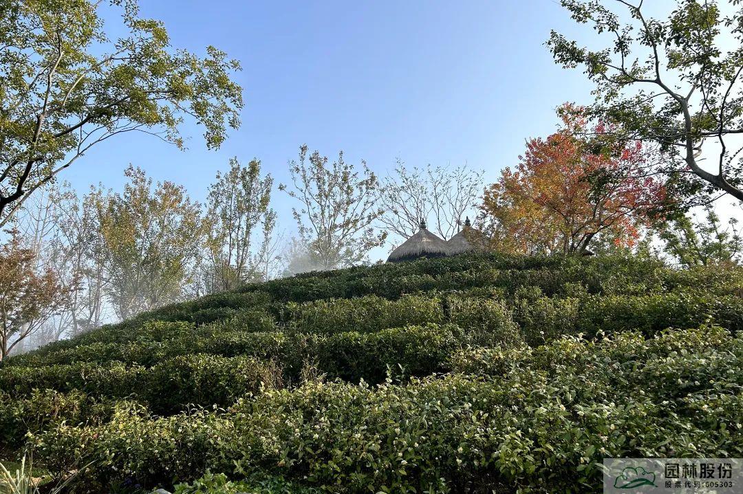 亚洲精品白浆高清久久久久久