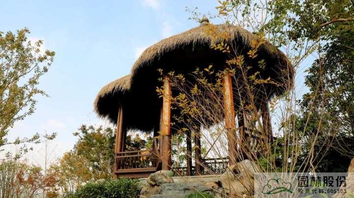 亚洲精品白浆高清久久久久久