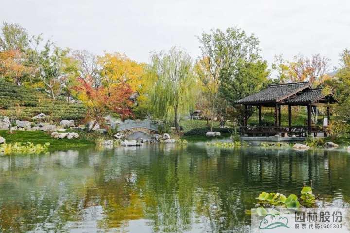 亚洲精品白浆高清久久久久久