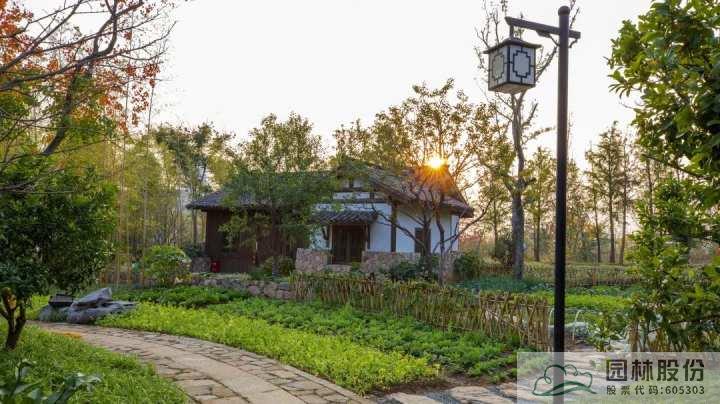 亚洲精品白浆高清久久久久久