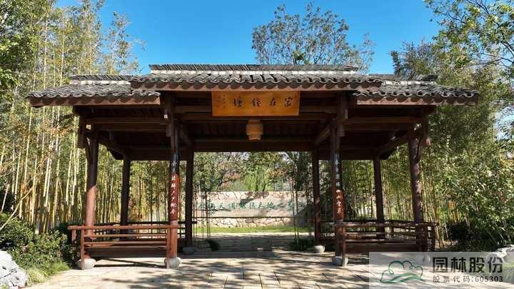 亚洲精品白浆高清久久久久久