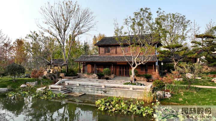 亚洲精品白浆高清久久久久久