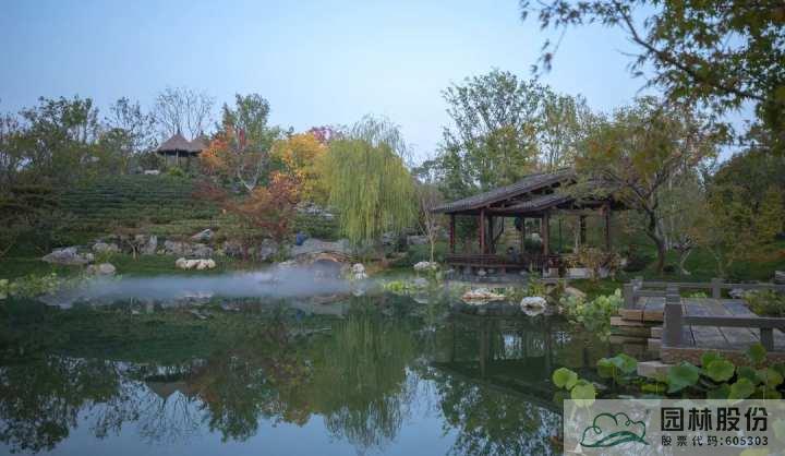 亚洲精品白浆高清久久久久久