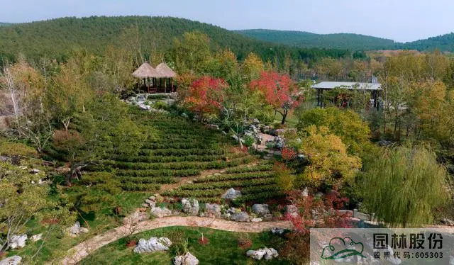 亚洲精品白浆高清久久久久久