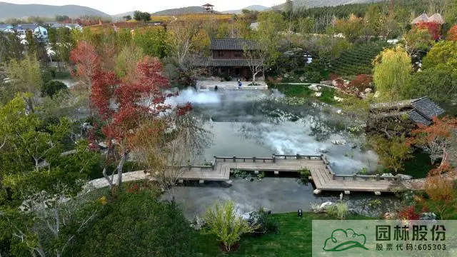 亚洲精品白浆高清久久久久久