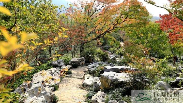 亚洲精品白浆高清久久久久久