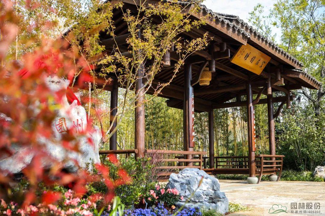 亚洲精品白浆高清久久久久久