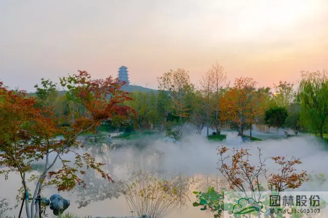 亚洲精品白浆高清久久久久久