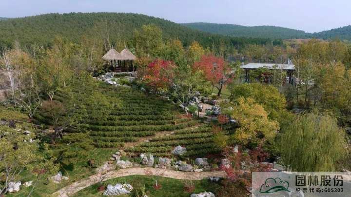 亚洲精品白浆高清久久久久久