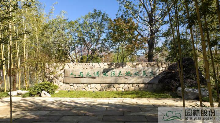 亚洲精品白浆高清久久久久久