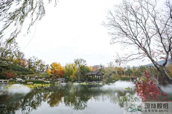 亚洲精品白浆高清久久久久久