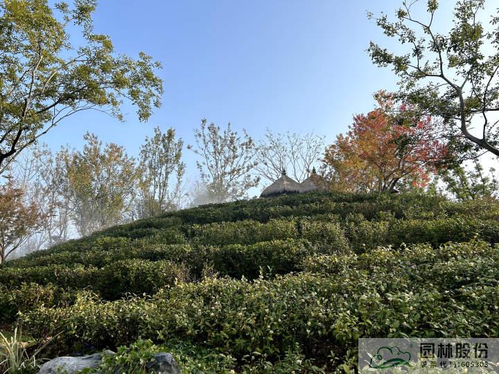 亚洲精品白浆高清久久久久久