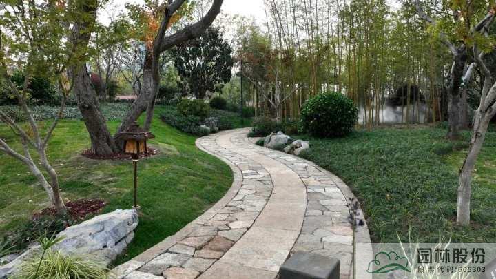 亚洲精品白浆高清久久久久久