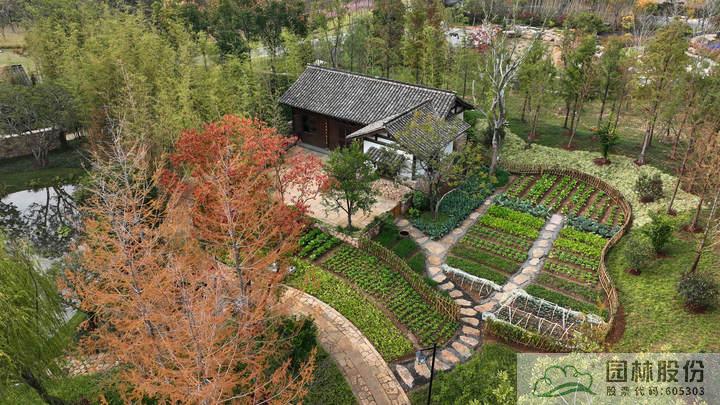 亚洲精品白浆高清久久久久久