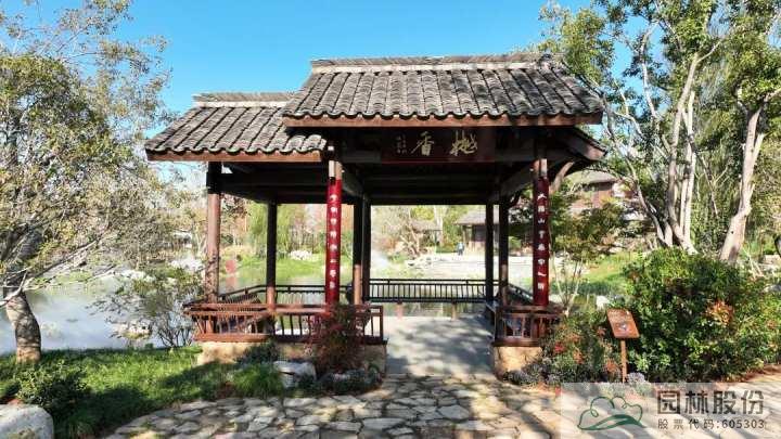 亚洲精品白浆高清久久久久久