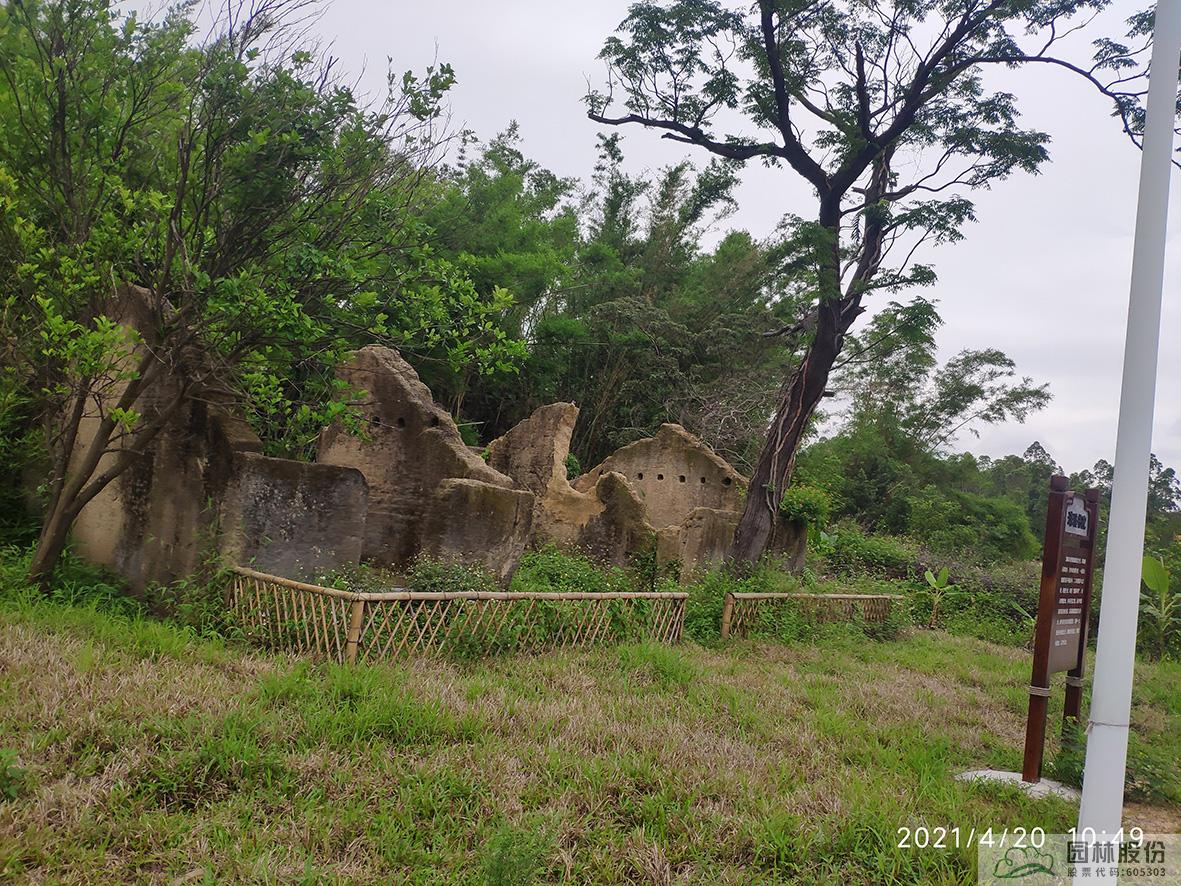 亚洲精品白浆高清久久久久久