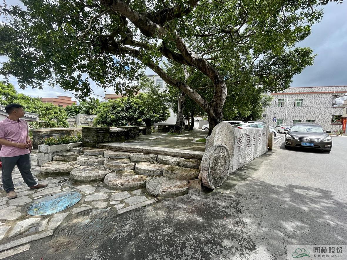 亚洲精品白浆高清久久久久久