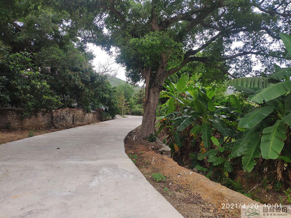 亚洲精品白浆高清久久久久久