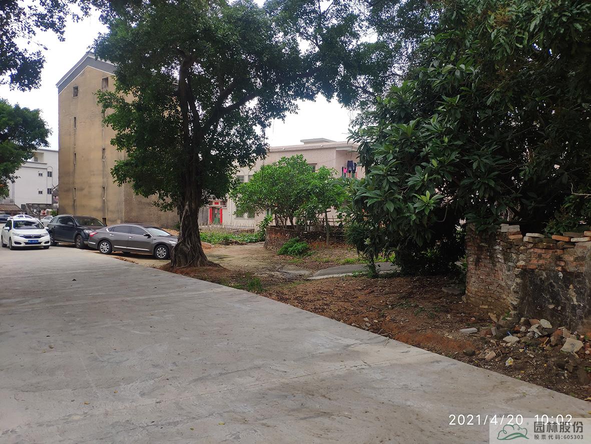 亚洲精品白浆高清久久久久久