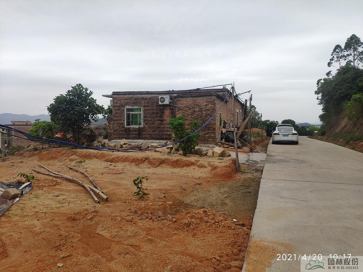 亚洲精品白浆高清久久久久久