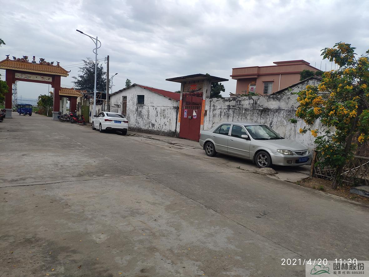 亚洲精品白浆高清久久久久久