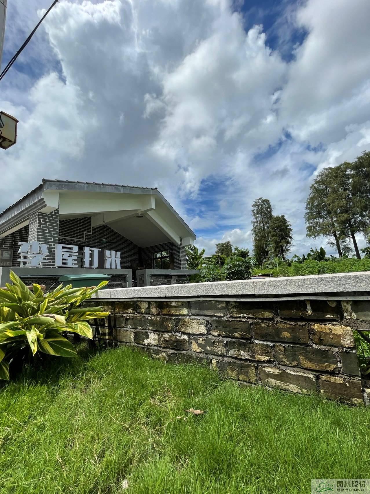 亚洲精品白浆高清久久久久久