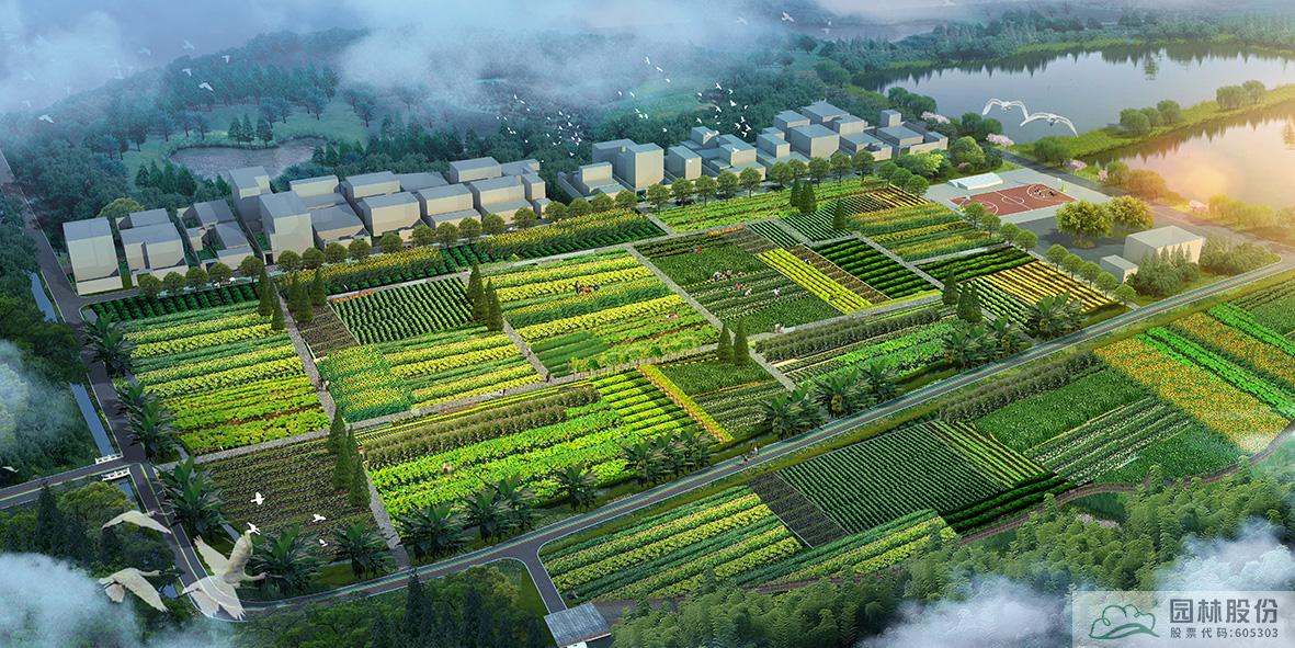 亚洲精品白浆高清久久久久久